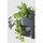 Set vazo vertikale Prosperplast Flowerpot, 4 module, antracit