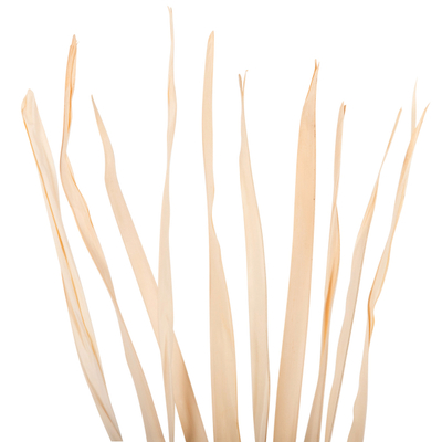 Dekor buqetë gjethe të thata 120Hcm (HM7964)