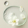 Xhel dushi freskues Nivea Detox