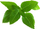 Kapsula me bimë Click and Grow Thai Basil, set me 3 copë, për kopshtin inteligjent