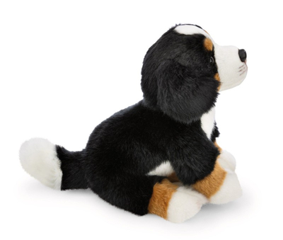Nici Loder E Bute 20Cm Qenushi Bernese 62603