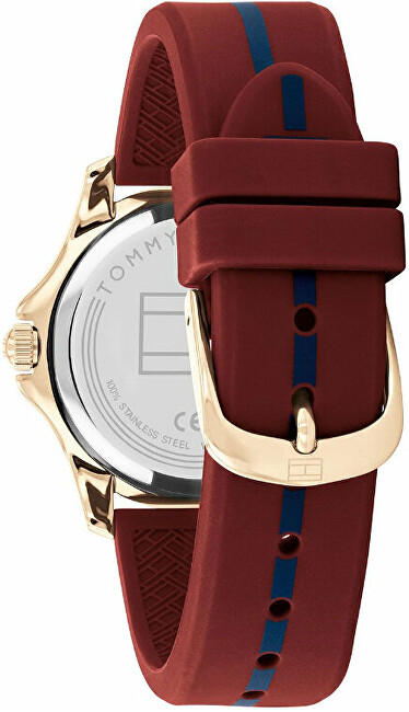 Orë dore Tommy Hilfiger Brooke 1782510
