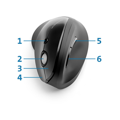 Maus Kensington Pro Fit Ergo Vertical, Wireless, 1600 DPI, i zi
