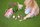 Lodër pelushi Simba Chi Chi Love Happy Gardener, qenush chihuahua, me çantë dhe aksesorë kopshti, shumëngjyrësh