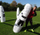 Mur stërvitor futbolli YakimaSport Inflatable Self-Standing, 205cm, i bardhë