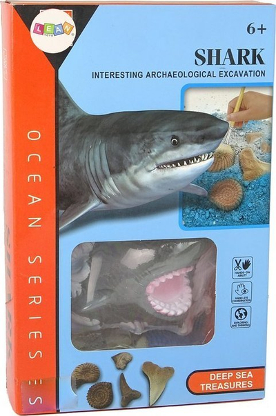 Set edukativ gërmimi Ammonite Shark Excavation, fosil peshkaqeni, me mjete dhe lupë, shumëngjyrësh