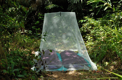 Rrjetë kundër insekteve për kamping Cocoon Double, për 2 persona, ultralehtë, jeshile silt