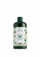 Balsam kundër zbokthit The Body Shop Ginger