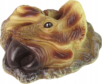 Set edukativ për gërmime dinozauri Triceratops, fosil realist, për fëmijë 6+