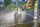 Shpërndarës uji Gardena Comfort ecoPulse - 18304-20