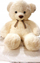 Arush lodër No Name Mascot Teddy Bear, 140cm, pelush gjigant, ngjyra të ndryshme