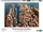 Puzzle Ambassador Sweden West Coast, 1000 pjesë, Tobias Haegg, shumëngjyrësh