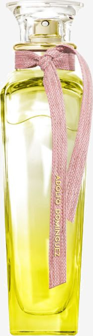 Женски парфем Adolfo Dominguez Agua Fresca Mimosa Coriandro, Eau de Toilette, 120 ml