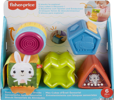 Lodra edukative Fisher-Price Fun Shapes, set 5 copë, shumëngjyrëshe