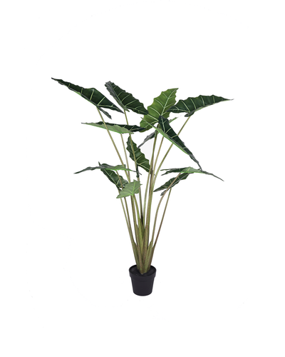 Lule artificiale Verde Decor Alocasia, 160 cm