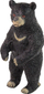 Set figurina LeanToys Bear Teddy, kafshë të egra, plastikë, shumëngjyrësh
