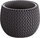 Vazo dekorative Kvtin SPLOFY Bowl, 29 cm, me insert, antracit