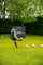 Portë futbolli VirtuFit PRO Soccer Goal VF06048, 170 x 110 cm, metal, e zezë