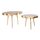 Set 2 tavolina për kafe Angul (HM10708), ari/ zezë/ bardhë