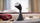 Hekur me avull Philips GC800/80, 1600W