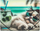 Folder dokumentesh Panta Plast Chillout Cat, A4, PP, me gomë elastike