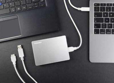 Disk i jashtëm HDD Toshiba Canvio Flex 2TB, i hirtë
