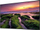 Display profesional Samsung QB75B, 75", 4K UHD, Wi‑Fi, i zi