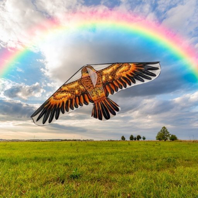 Fluturakë për kalamaj Bird, në formë zogu, shumëngjyrëshe