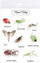Stikera Mama Paints Large Stickers Insects 1, 15x20 cm, shumëngjyrësh