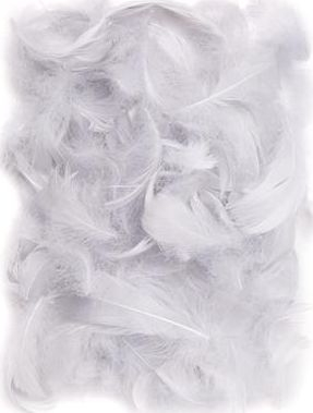 Pupla dekorative Feathers 5-12 cm, 10 g, gri