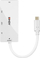 Adapter video Lindy 43279, USB C në DP HDMI DVI VGA, 14.5 cm, i bardhë