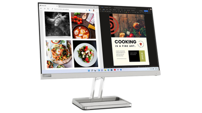 Monitor Lenovo L24m-40, 23.8", 1920 x 1080, Full HD, 100 Hz, i hirtë