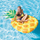 Shtrat fryrëse pishine Intex 58761 Pineapple, 216x124cm, shumëngjyrësh