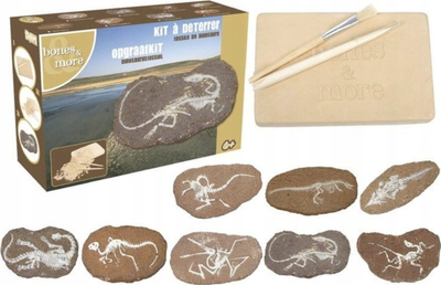 Lodër dinosauri për gërmime, figurë e madhe, gur gërmimi, ngjyra MIX