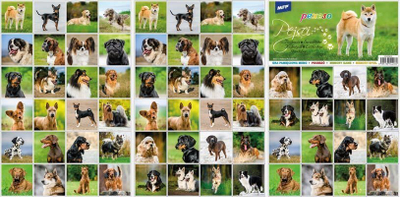 Lojë memorieje MFP Pexeso Dogs A4, 64 letra, për kalamaj
