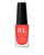 Llak thonjsh Bel London New Quick Dry 107, thahet shpejt, 10 ml