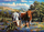 Puzzle Ravensburger Loving Longhorns, 500 pjesë, motiv Texas Longhorn, shumëngjyrësh
