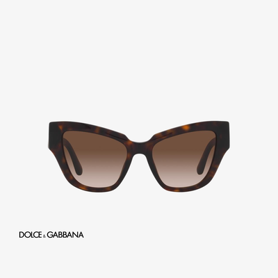 Dolce & Gabbana DG4404 502/13 54