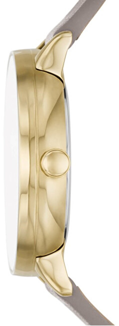 Orë për femra Skagen Riis SKW3091, e hirtë/artë