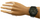 Orë dore Tommy Hilfiger Ashton 1791738