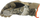 Doreza dimri Mechanix Wear Cold Weather SUB35 Realtree Edge, 3M Thinsulate, madhësia S, kamuflazh