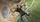 Lojë Xbox Battlefield 2042, Xbox Series X, aksion multiplayer