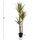 Bimë sintetike Palm në vazo (HM7984)