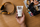 Krem fytyre Bulldog Oil Control Moisturizer, për burra, për lëkurë të yndyrshme, 100ml