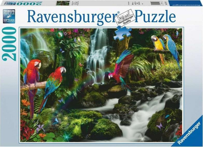 Puzzle Ravensburger Parrots in the Jungle, 2000 copë, me shum ngjyra