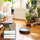 Fshesë me korent robot iRobot Roomba J7, Wi‑Fi, komandohet me aplikacion, grafit