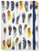 Дневник Jrnl Mid Watercolor Feathers, тврд корица, страници со линии, шарен