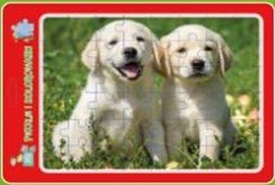 Puzzle në kornizë MD Creative Puppies, me faqe për ngjyrosje, shumëngjyrësh