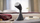 Pajisje me avull për rroba Philips 8000 Series GC800/80, 1600W, 32 g/min, e zezë argjendi