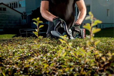 Gërshërë gardhi Metabo AHS 18-65 V, 18V, 65cm, pa bateri